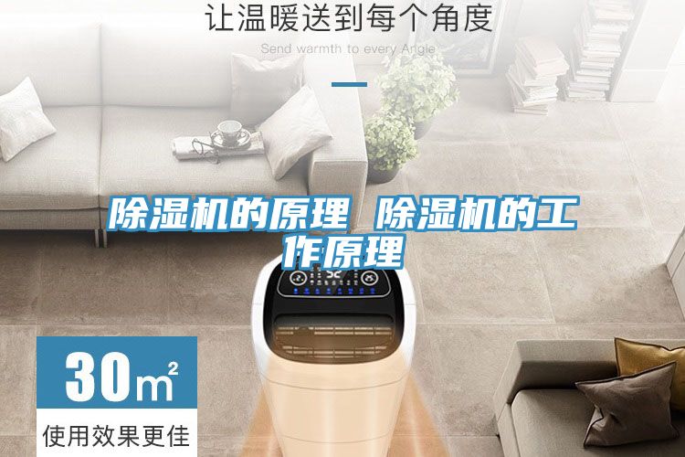 猫咪成人官网的原理 猫咪成人官网的工作原理