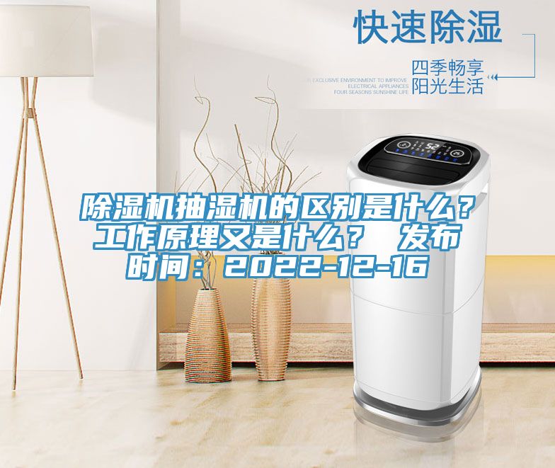 猫咪成人官网抽湿机的区别是什么？工作原理又是什么？ 发布时间：2022-12-16