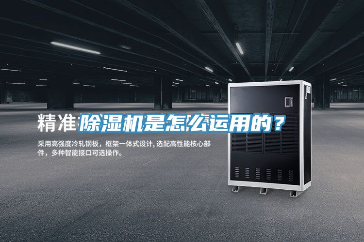 猫咪成人官网是怎么运用的？