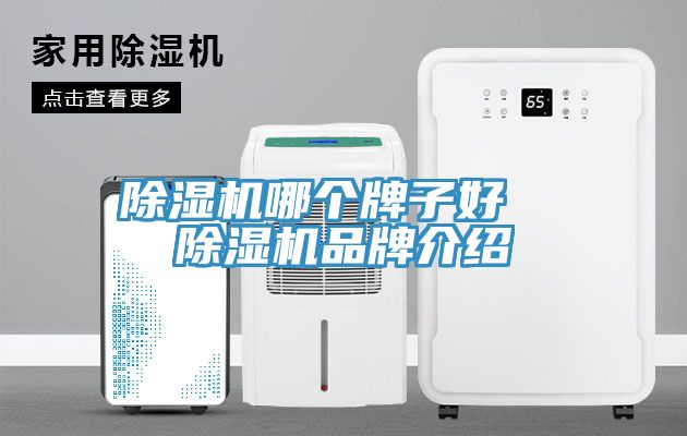 猫咪成人官网哪个牌子好  猫咪成人官网品牌介绍