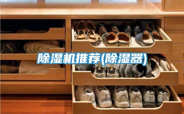 猫咪成人官网推荐(除湿器)