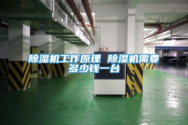 猫咪成人官网工作原理 猫咪成人官网需要多少钱一台