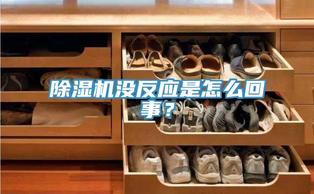 猫咪成人官网没反应是怎么回事？