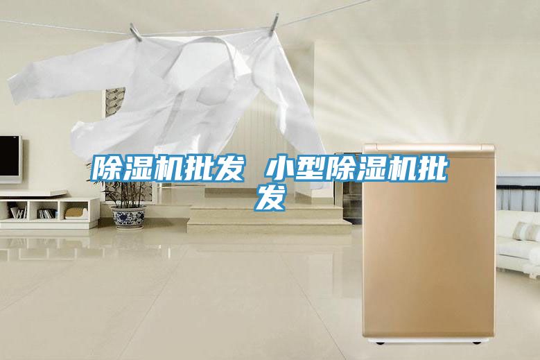猫咪成人官网批发 小型猫咪成人官网批发
