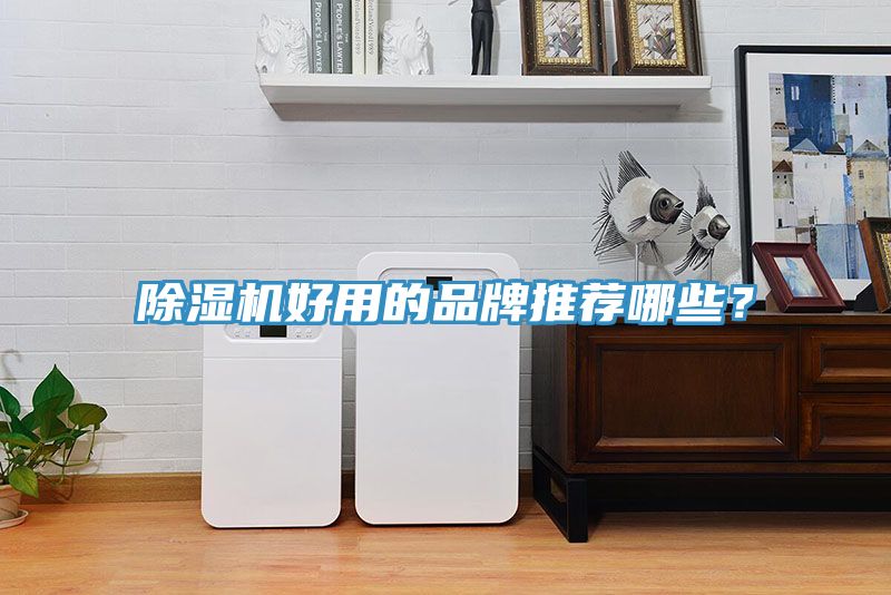 猫咪成人官网好用的品牌推荐哪些？