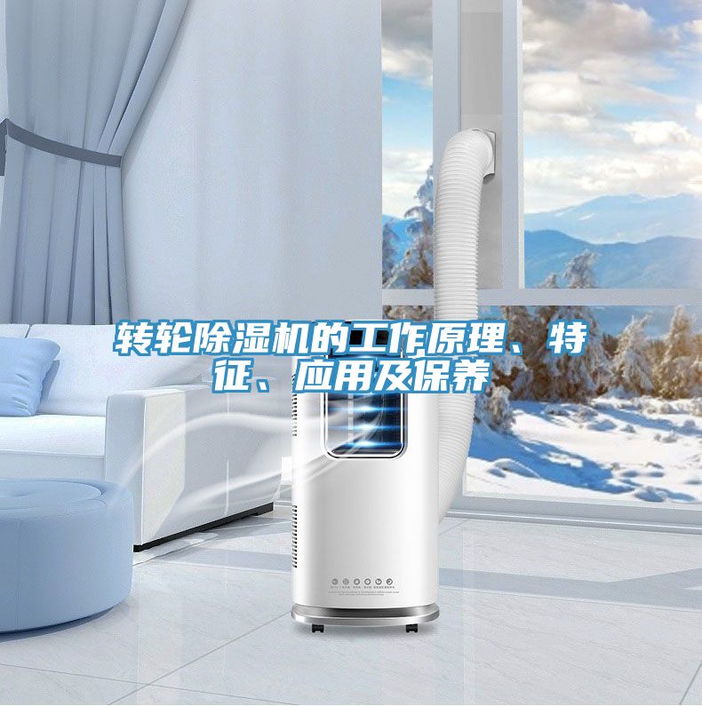 转轮猫咪成人官网的工作原理、特征、应用及保养