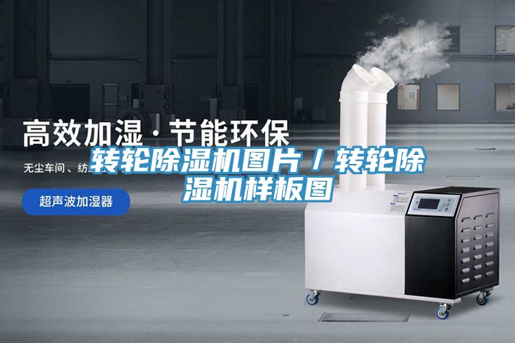 转轮猫咪成人官网图片／转轮猫咪成人官网样板图