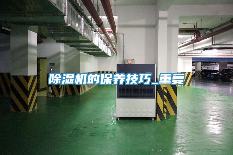 猫咪成人官网的保养技巧_重复