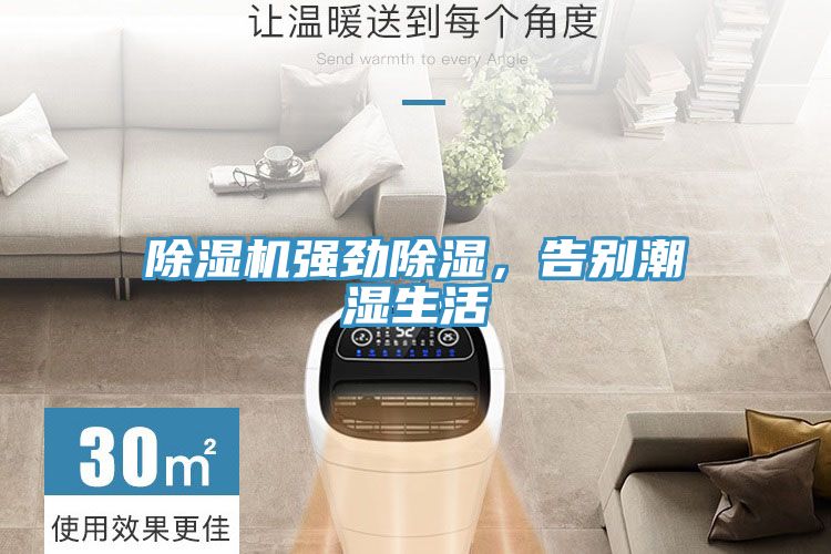 猫咪成人官网强劲除湿，告别潮湿生活