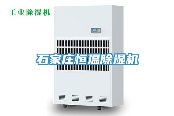 石家庄恒温猫咪成人官网