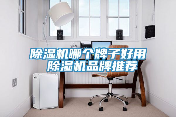 猫咪成人官网哪个牌子好用 猫咪成人官网品牌推荐