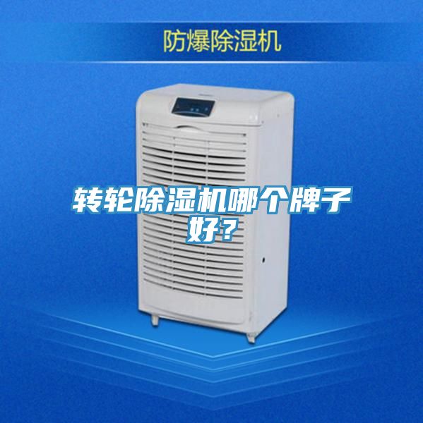 转轮猫咪成人官网哪个牌子好？