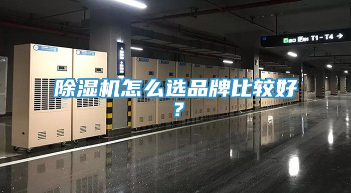 猫咪成人官网怎么选品牌比较好？