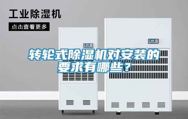 转轮式猫咪成人官网对安装的要求有哪些？
