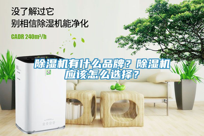 猫咪成人官网有什么品牌？猫咪成人官网应该怎么选择？