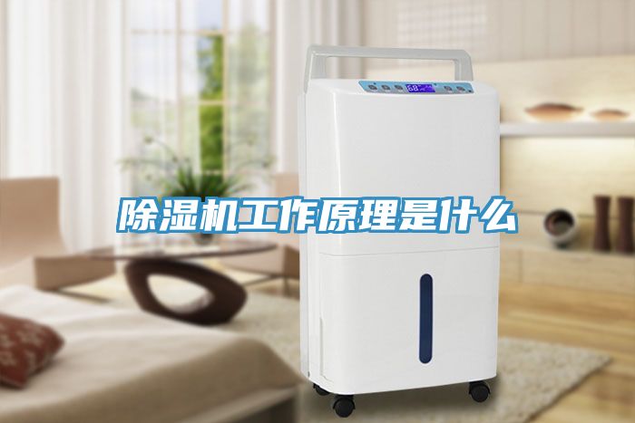 猫咪成人官网工作原理是什么