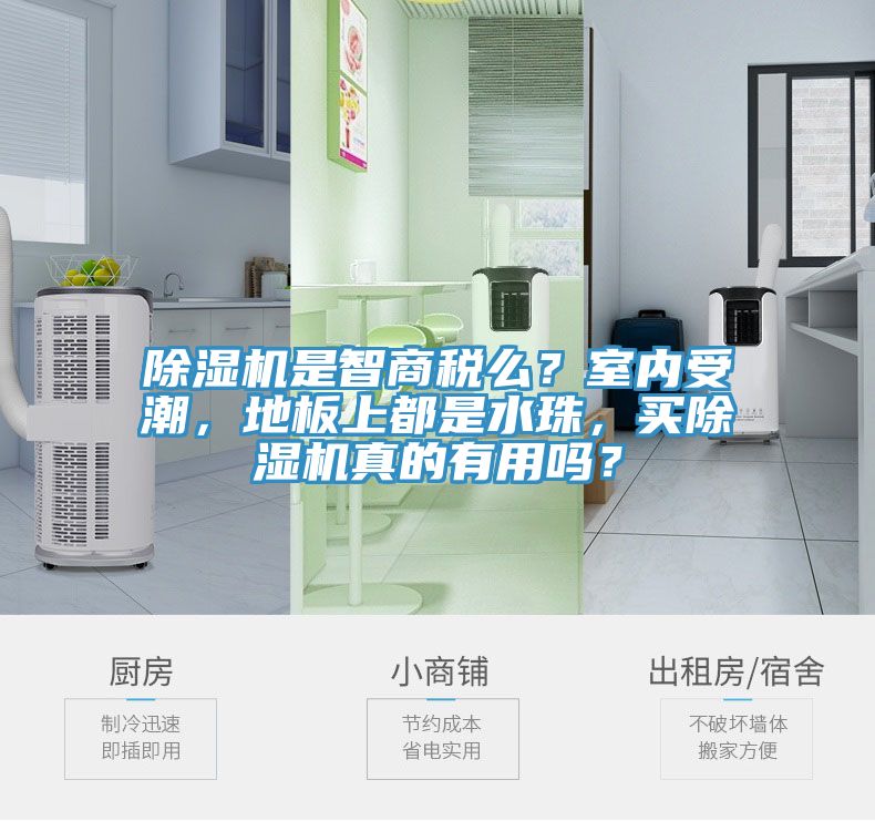 猫咪成人官网是智商税么？室内受潮，地板上都是水珠，买猫咪成人官网真的有用吗？