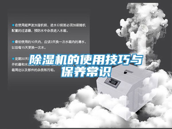 猫咪成人官网的使用技巧与保养常识