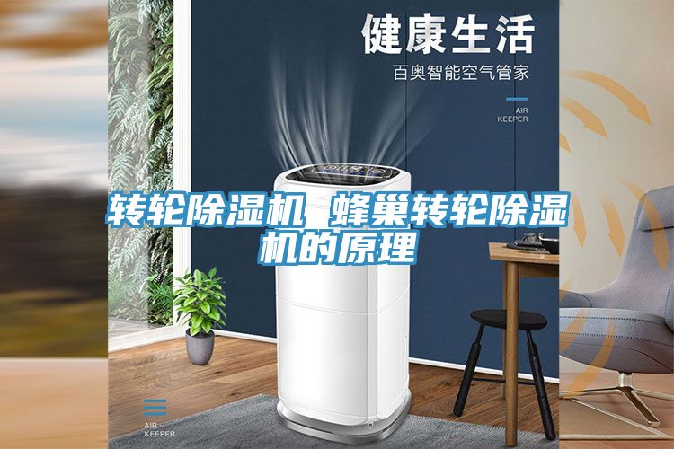 转轮猫咪成人官网 蜂巢转轮猫咪成人官网的原理