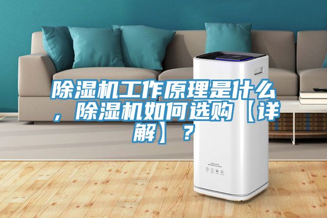 猫咪成人官网工作原理是什么，猫咪成人官网如何选购【详解】？