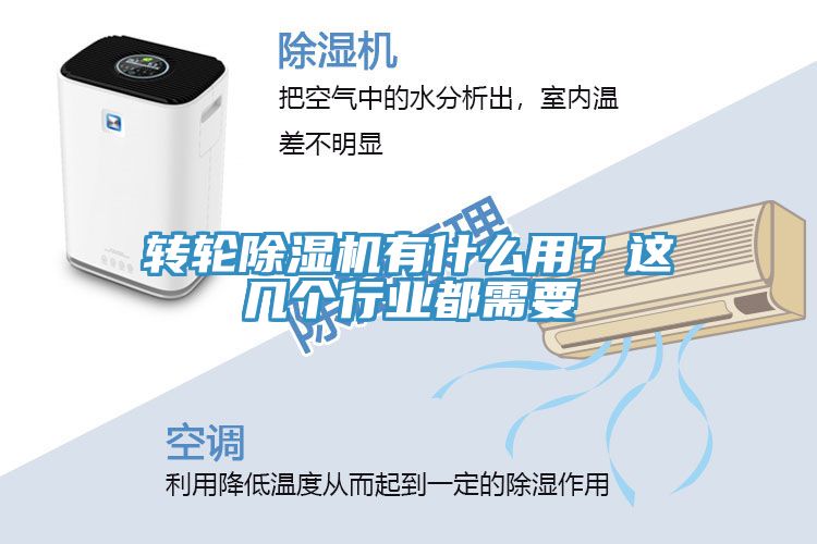 转轮猫咪成人官网有什么用？这几个行业都需要