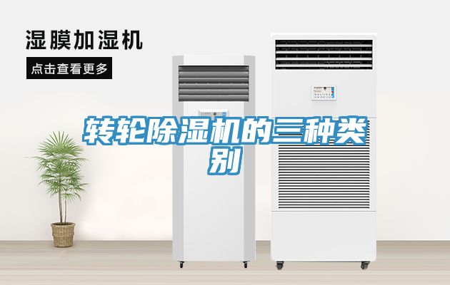 转轮猫咪成人官网的三种类别