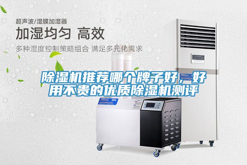 猫咪成人官网推荐哪个牌子好，好用不贵的优质猫咪成人官网测评