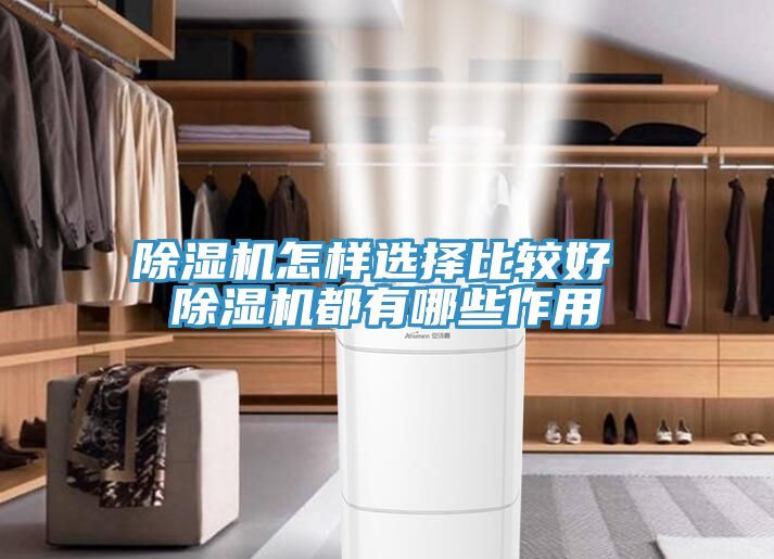 猫咪成人官网怎样选择比较好 猫咪成人官网都有哪些作用