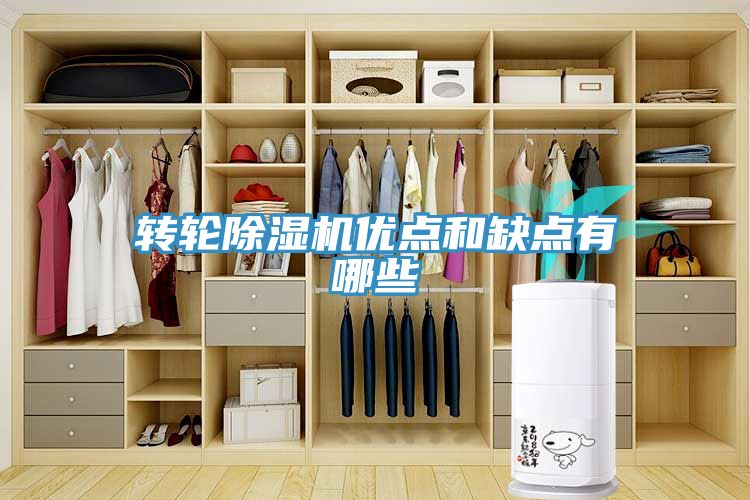 转轮猫咪成人官网优点和缺点有哪些