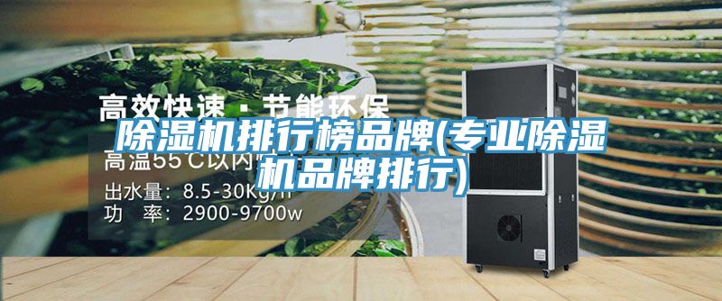 猫咪成人官网排行榜品牌(专业猫咪成人官网品牌排行)