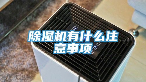 猫咪成人官网有什么注意事项