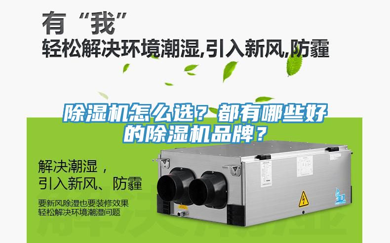 猫咪成人官网怎么选？都有哪些好的猫咪成人官网品牌？