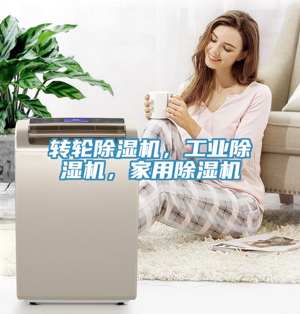 转轮猫咪成人官网，工业猫咪成人官网，家用猫咪成人官网