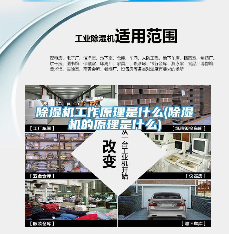 猫咪成人官网工作原理是什么(猫咪成人官网的原理是什么)