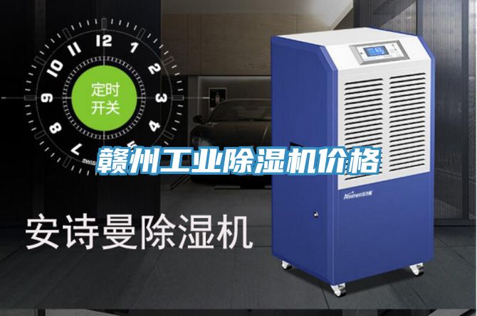 赣州工业猫咪成人官网价格
