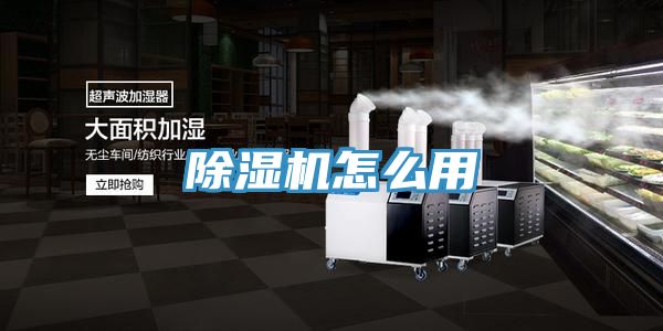 猫咪成人官网怎么用