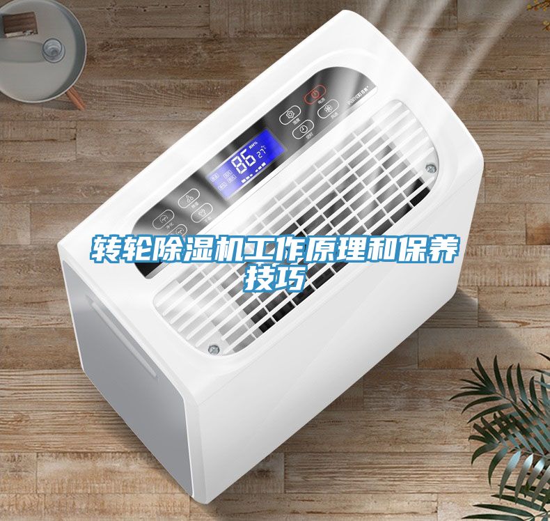 转轮猫咪成人官网工作原理和保养技巧