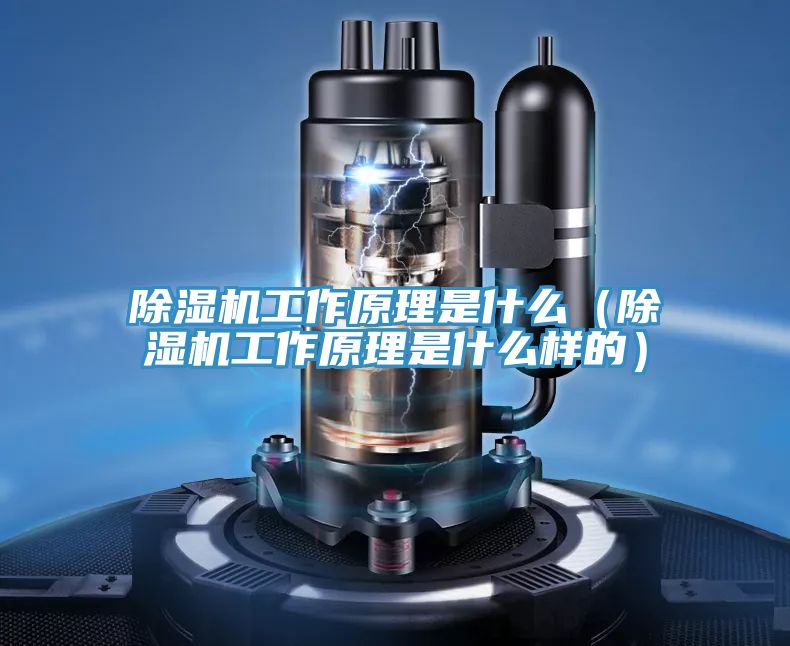 猫咪成人官网工作原理是什么（猫咪成人官网工作原理是什么样的）