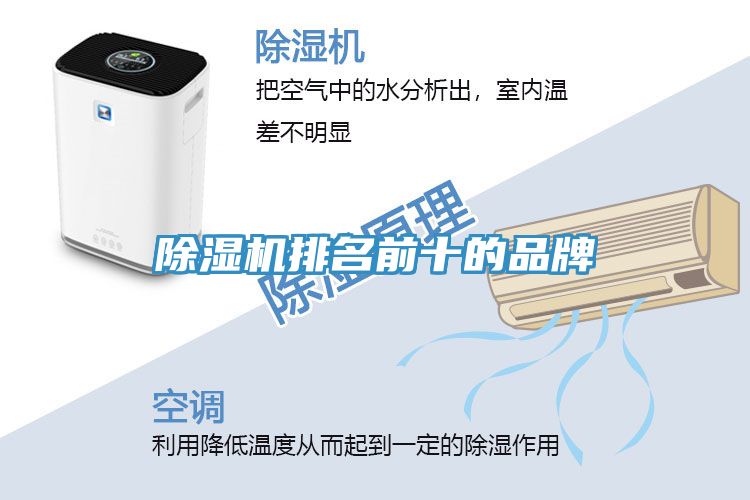 猫咪成人官网排名前十的品牌