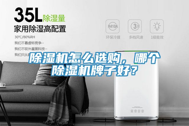 猫咪成人官网怎么选购，哪个猫咪成人官网牌子好？