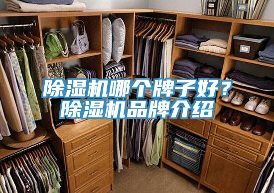 猫咪成人官网哪个牌子好？猫咪成人官网品牌介绍