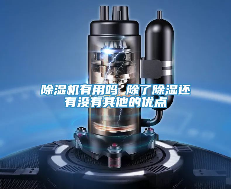 猫咪成人官网有用吗 除了除湿还有没有其他的优点