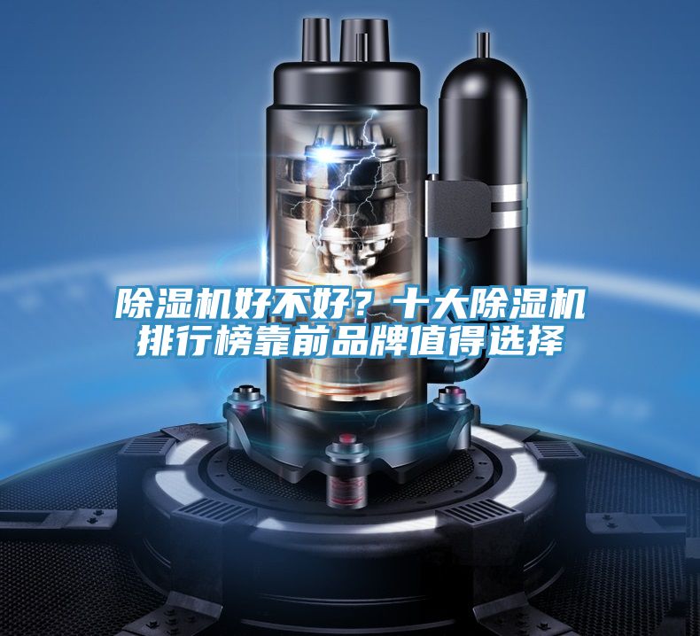 猫咪成人官网好不好？十大猫咪成人官网排行榜靠前品牌值得选择
