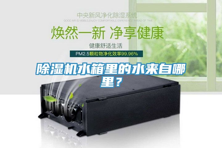 猫咪成人官网水箱里的水来自哪里？