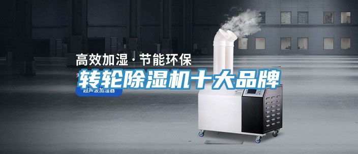 转轮猫咪成人官网十大品牌