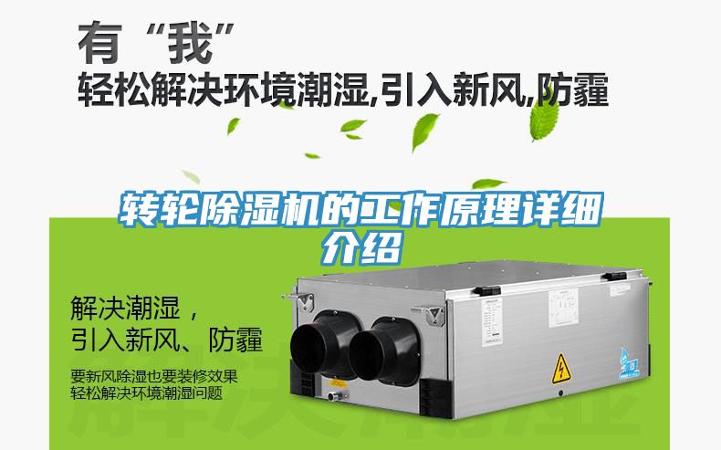 转轮猫咪成人官网的工作原理详细介绍