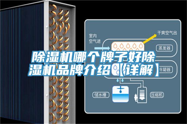猫咪成人官网哪个牌子好猫咪成人官网品牌介绍【详解】