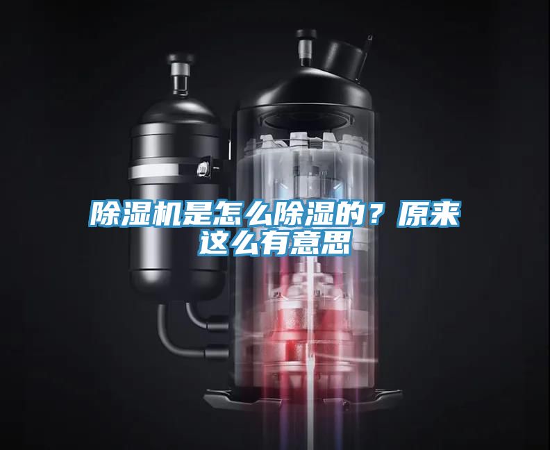 猫咪成人官网是怎么除湿的？原来这么有意思
