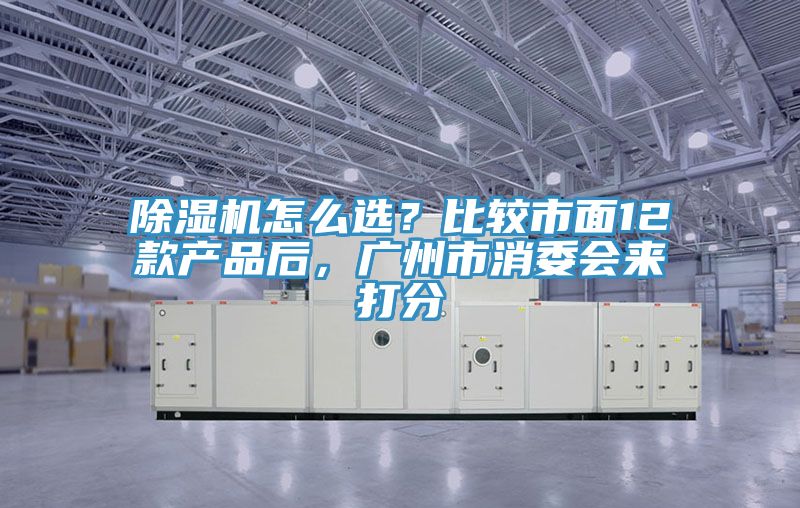 猫咪成人官网怎么选？比较市面12款产品后，广州市消委会来打分