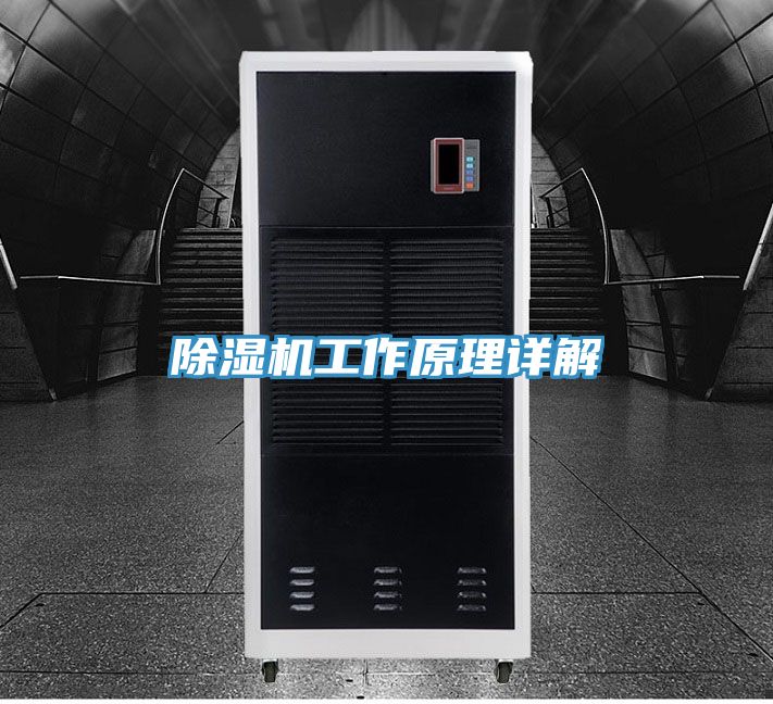 猫咪成人官网工作原理详解